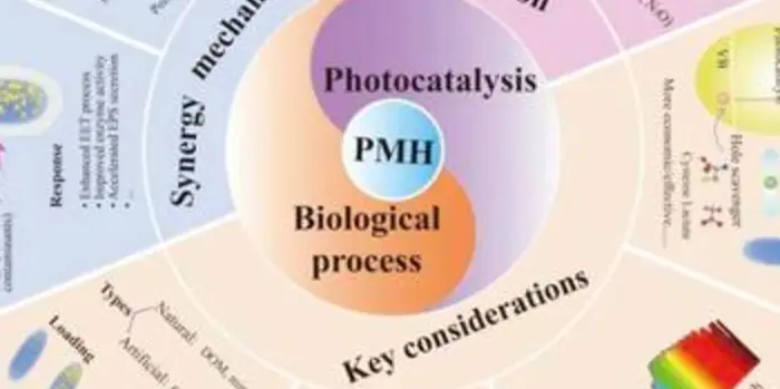 How cleanroom laboratory design Certification Shapes Biopharmaceuticals and Life Sciences Cleanroom Design Decisions